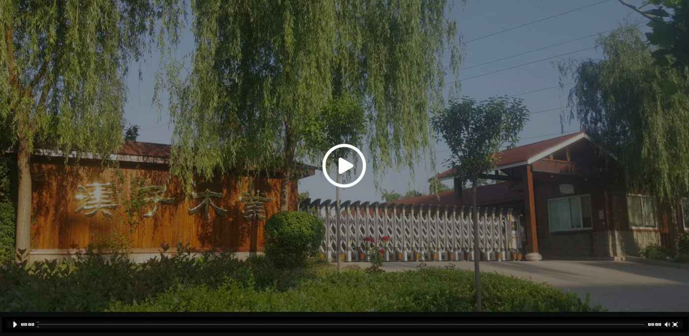 青岛俊彦知识产权保护有限公司