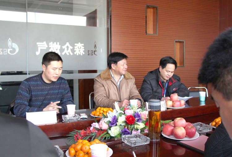 林口县政府与南京浩宇建筑工程有限公司燃气项目洽谈.png